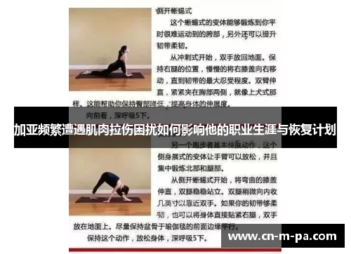 加亚频繁遭遇肌肉拉伤困扰如何影响他的职业生涯与恢复计划
